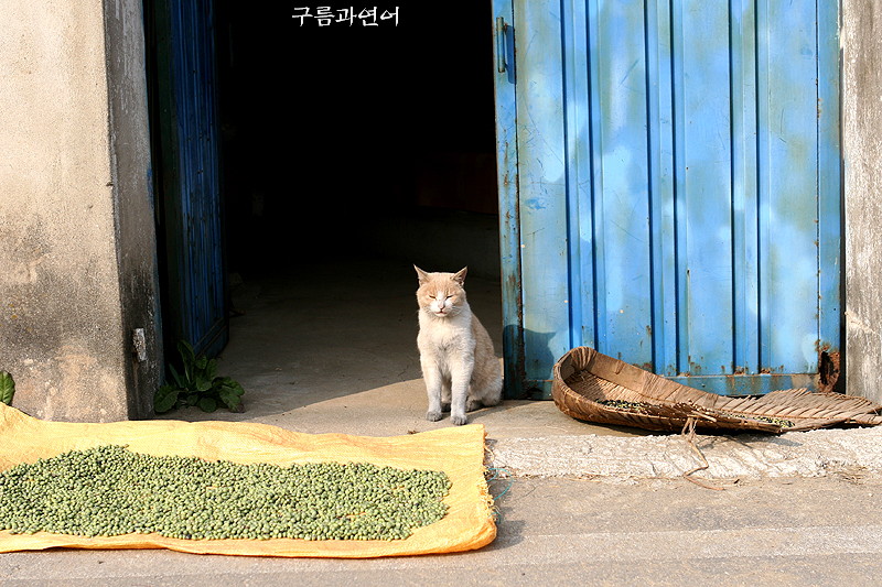 사용자 삽입 이미지