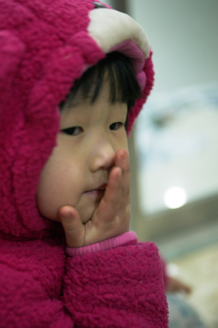 사용자 삽입 이미지