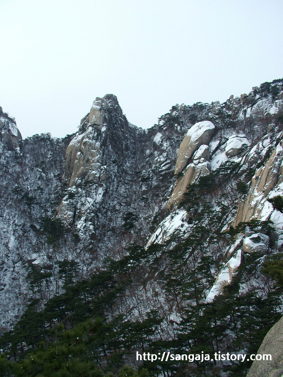 사용자 삽입 이미지