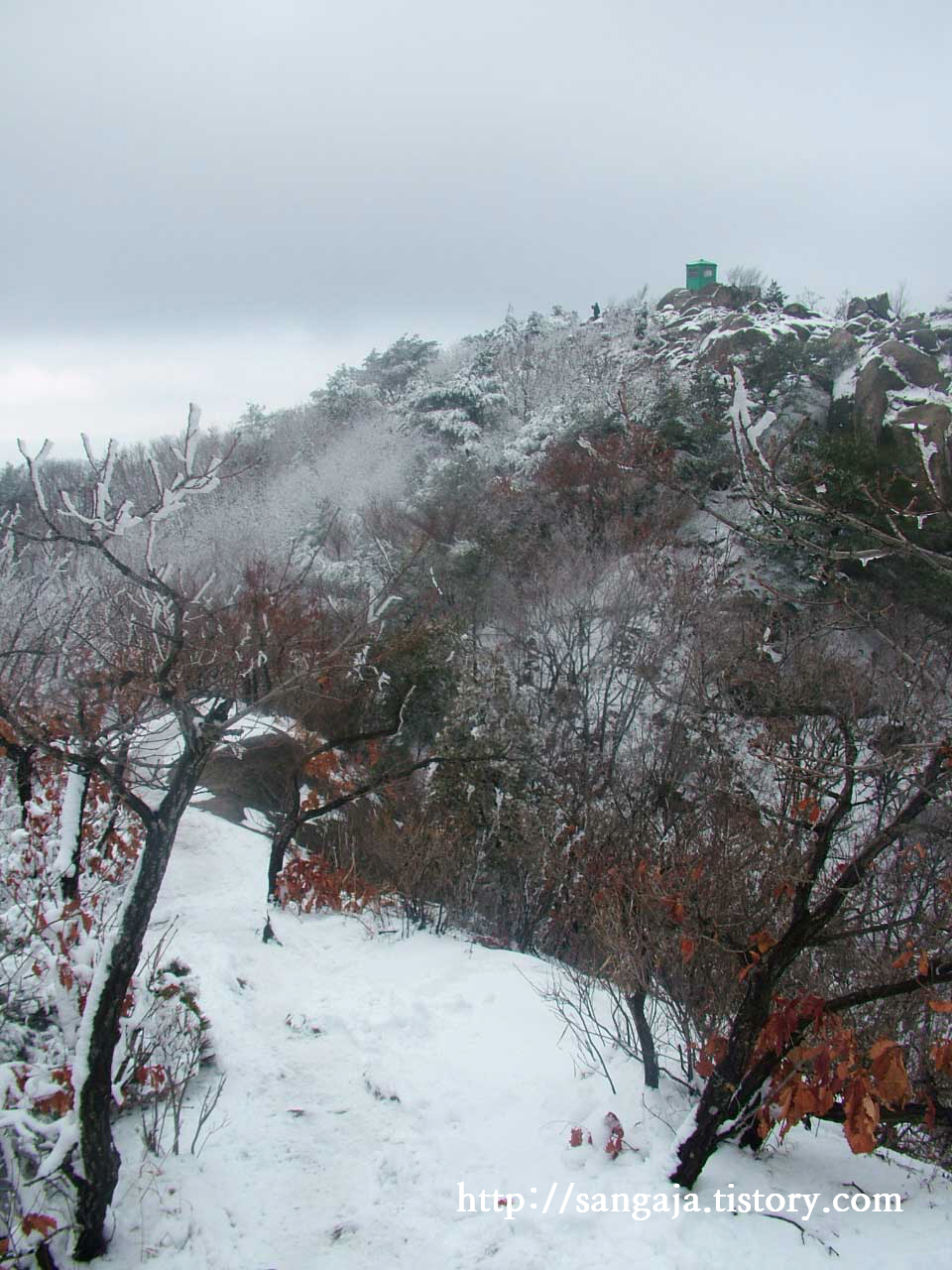 사용자 삽입 이미지