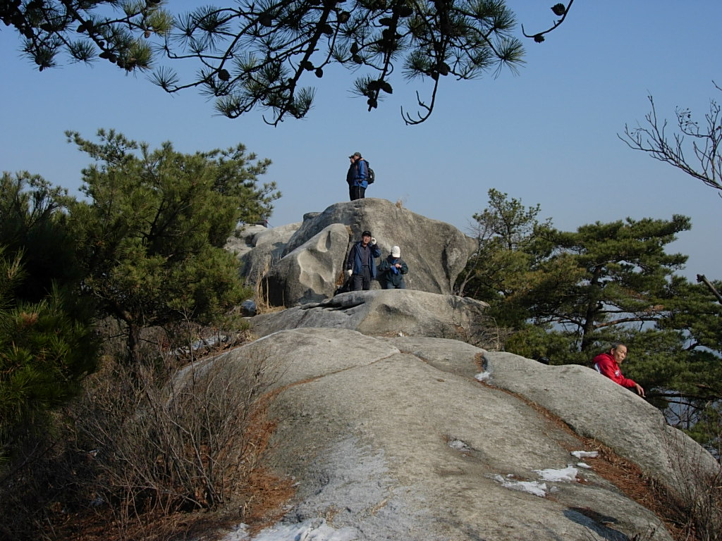 사용자 삽입 이미지