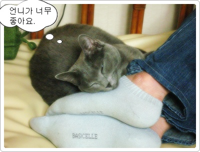 반야