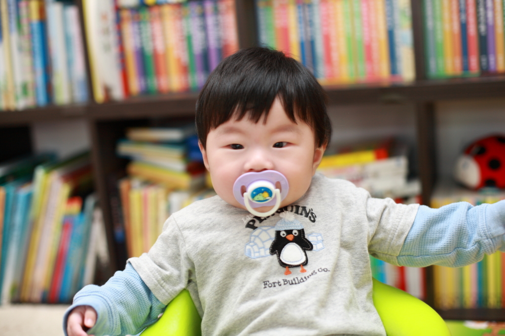 사용자 삽입 이미지