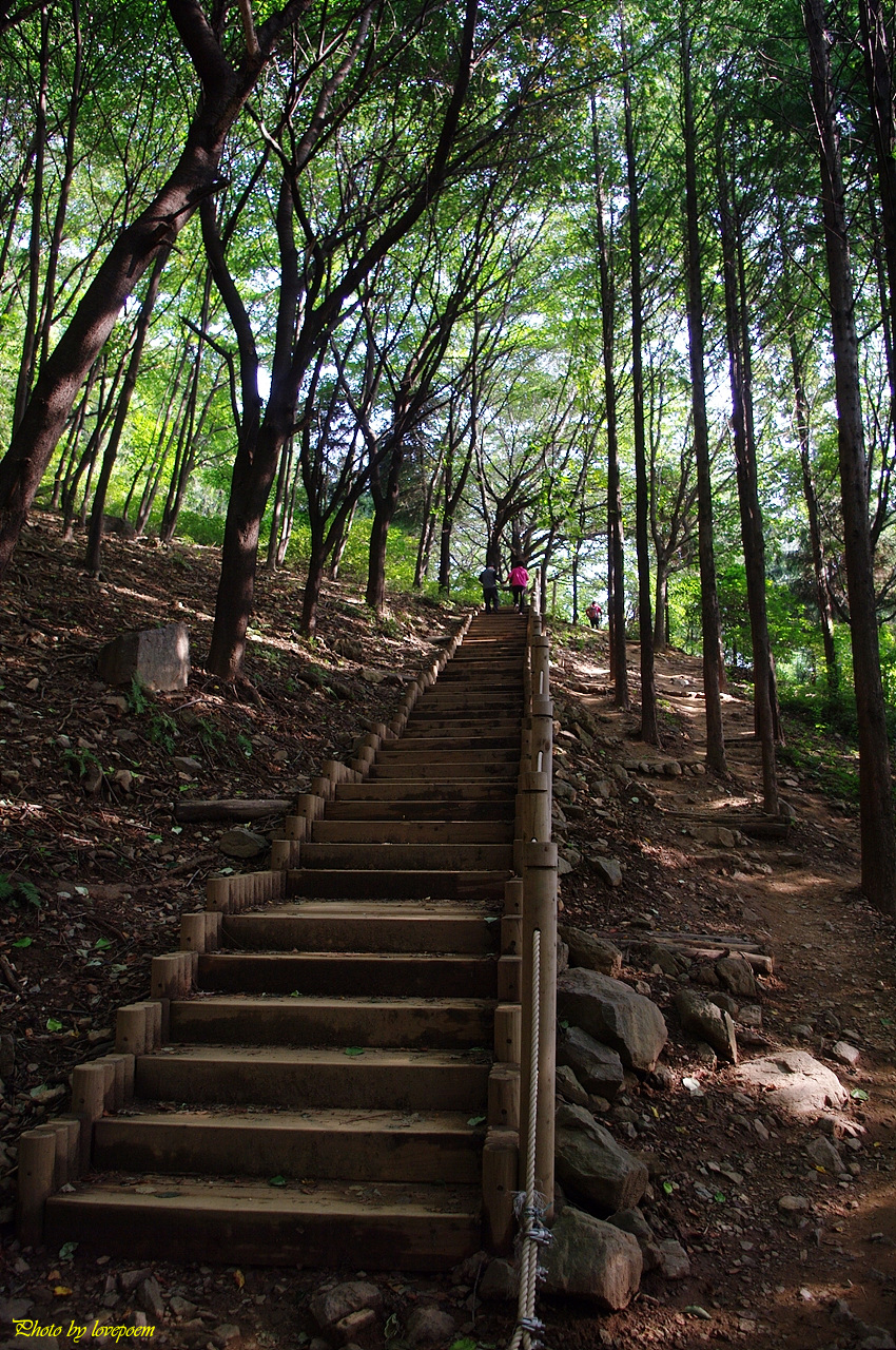 사용자 삽입 이미지