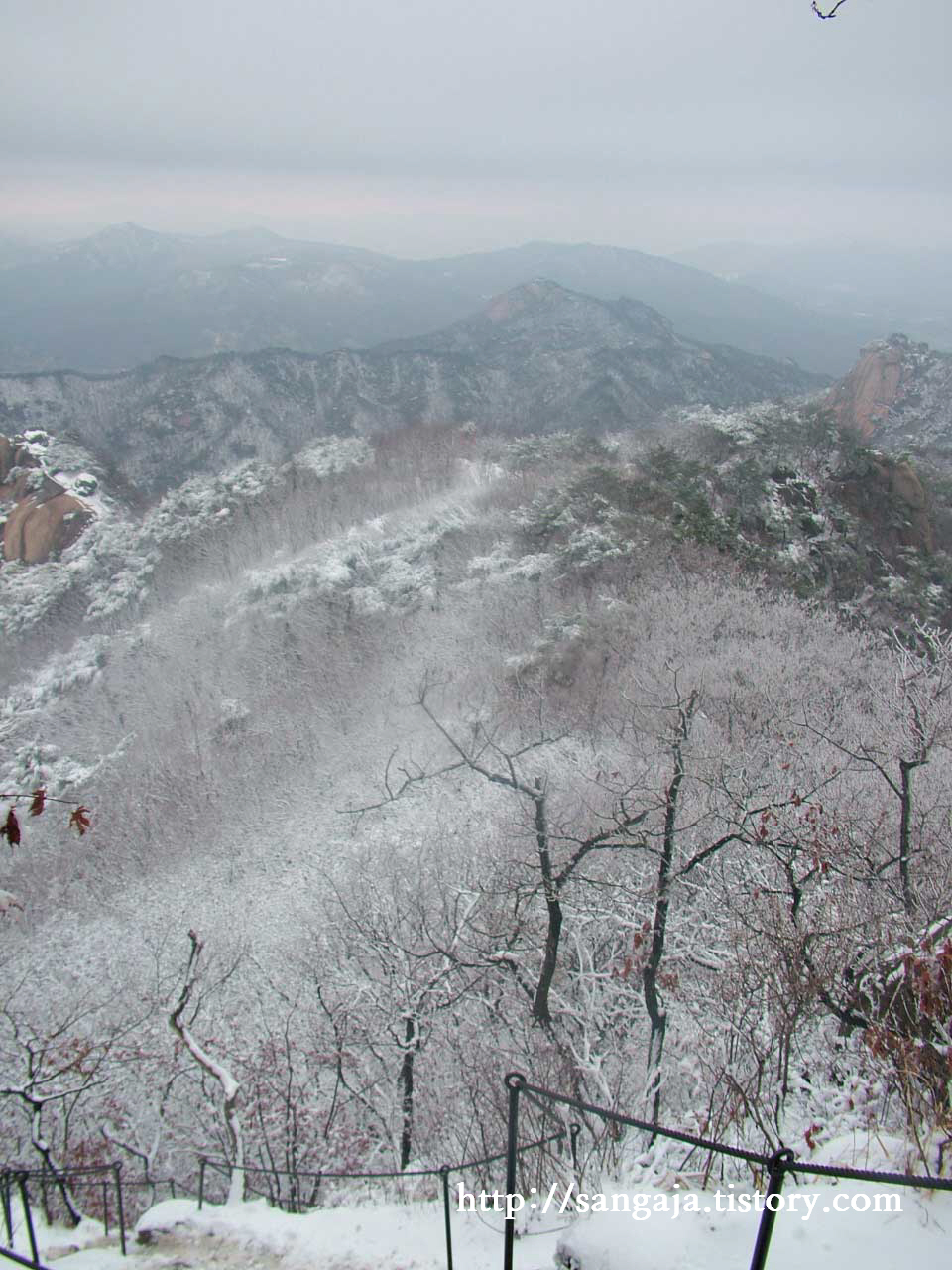 사용자 삽입 이미지