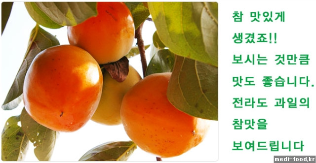 medi-food.kr