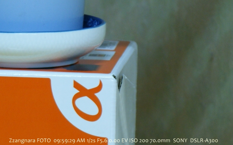 iso test 