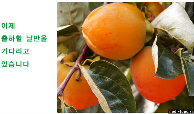 medi-food.kr