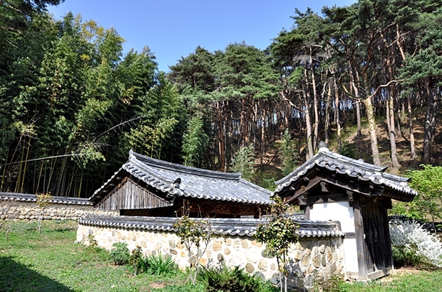 사용자 삽입 이미지