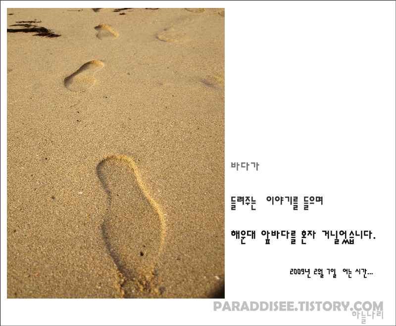 사용자 삽입 이미지