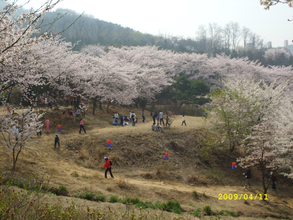 사용자 삽입 이미지