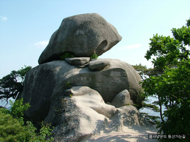 사용자 삽입 이미지