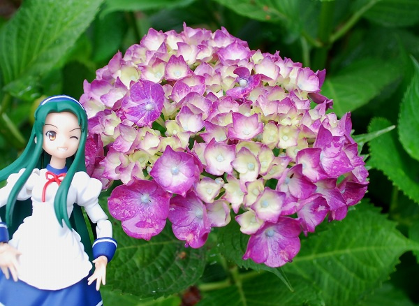사용자 삽입 이미지