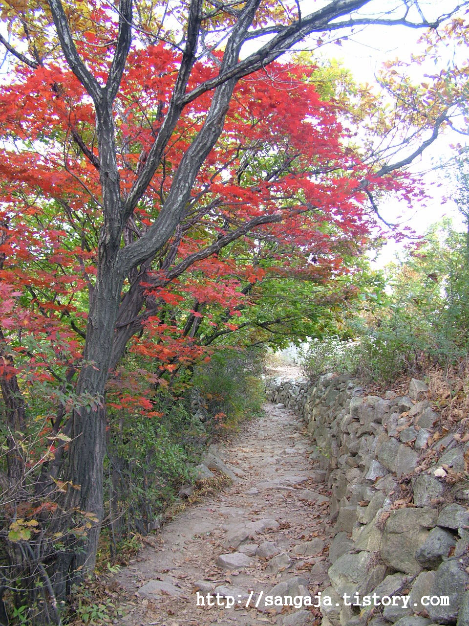 사용자 삽입 이미지