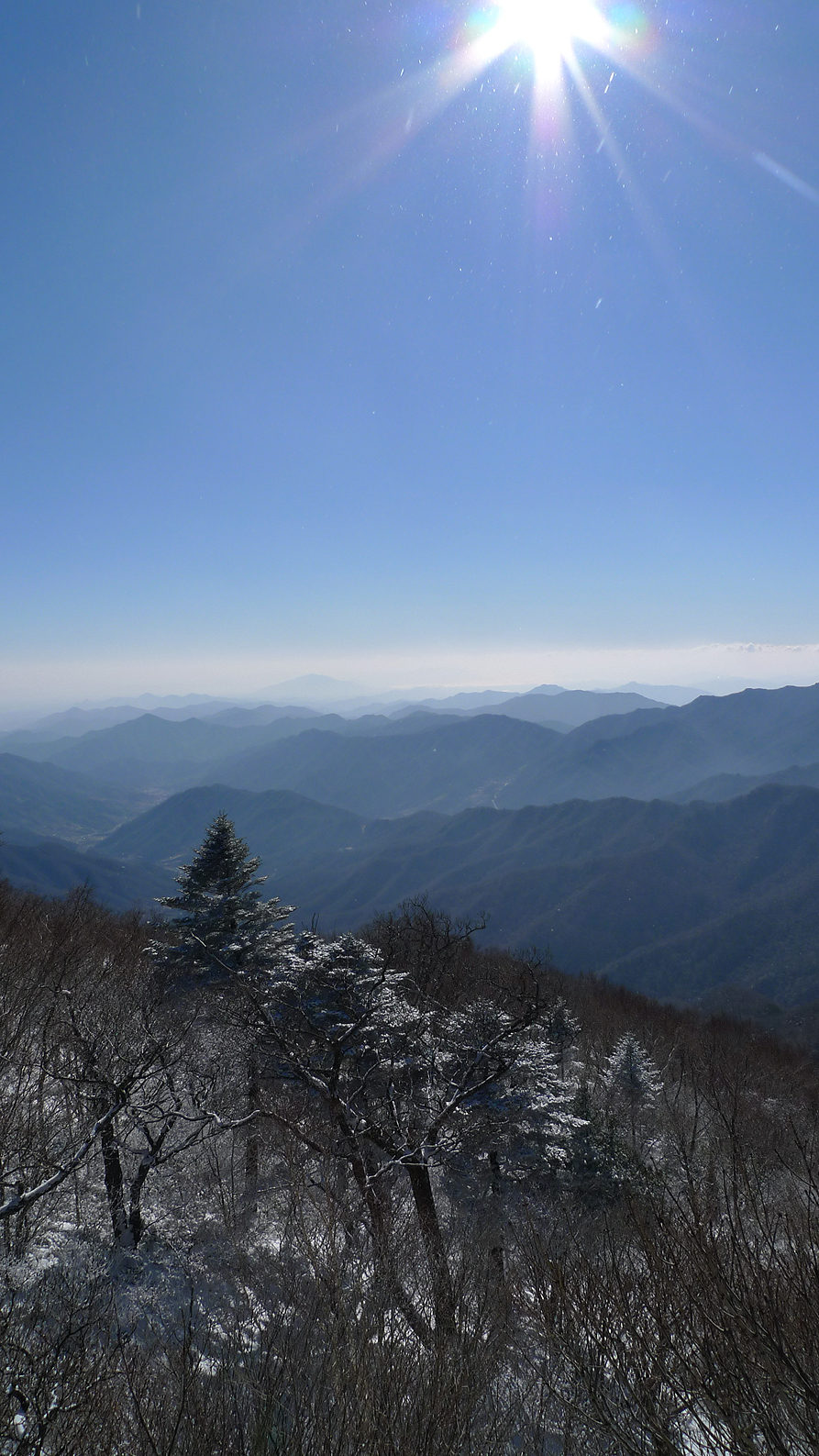 사용자 삽입 이미지