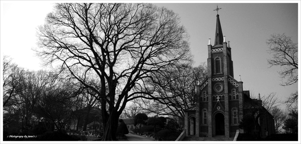 공세리성당,church,성당사진