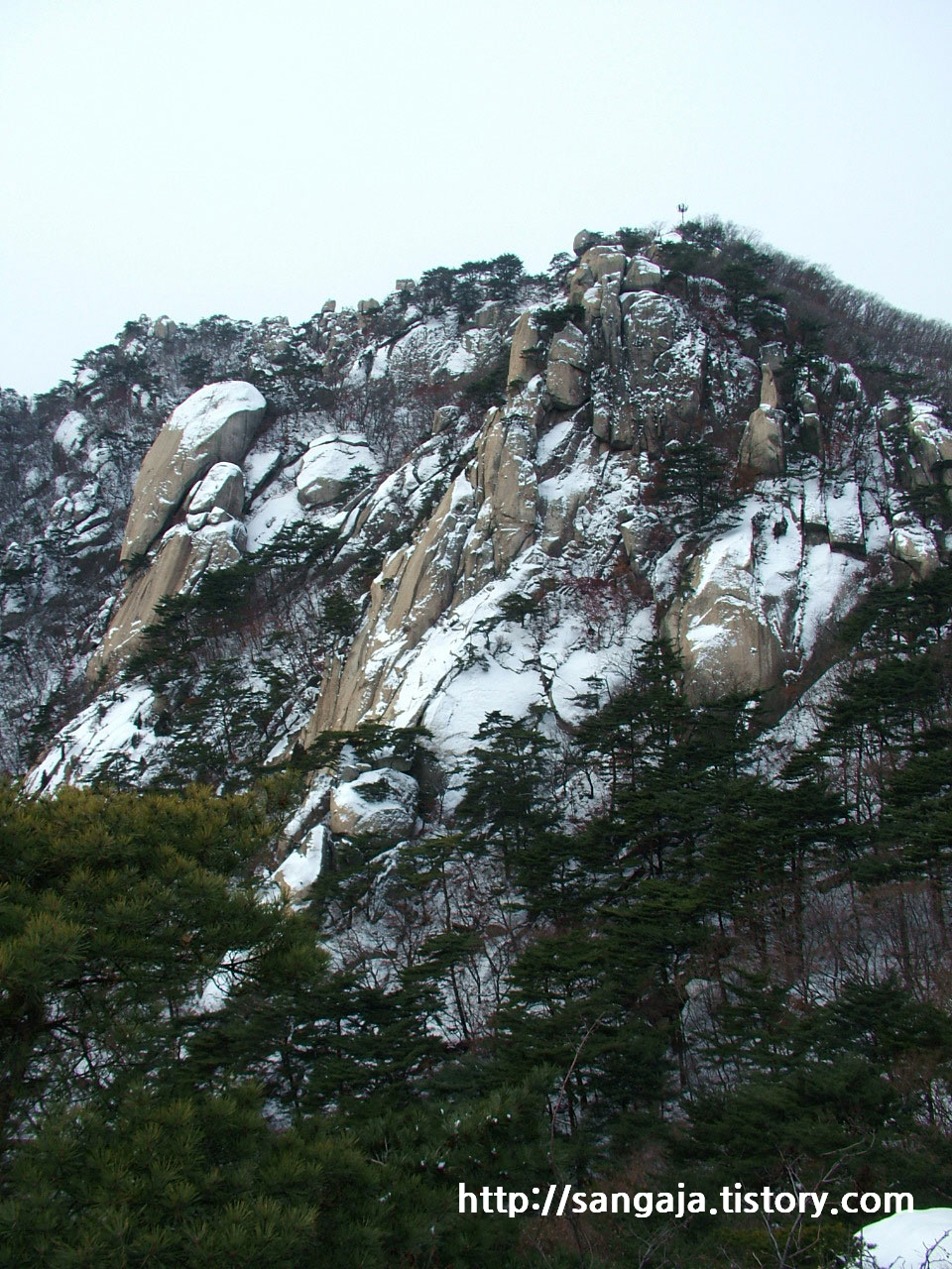 사용자 삽입 이미지