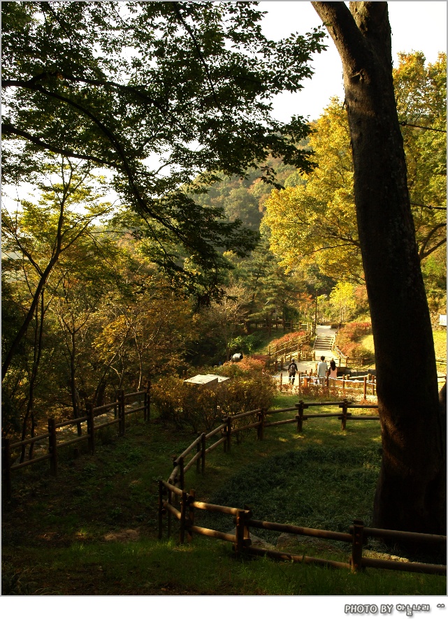 사용자 삽입 이미지