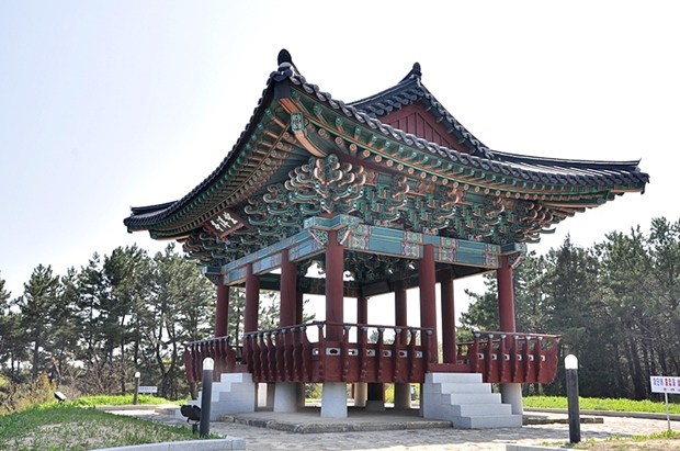 사용자 삽입 이미지
