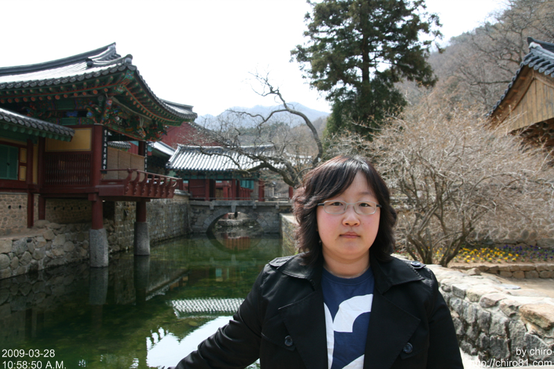 사용자 삽입 이미지