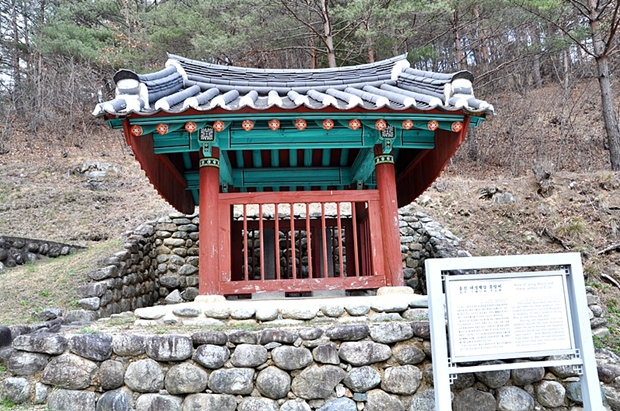 사용자 삽입 이미지