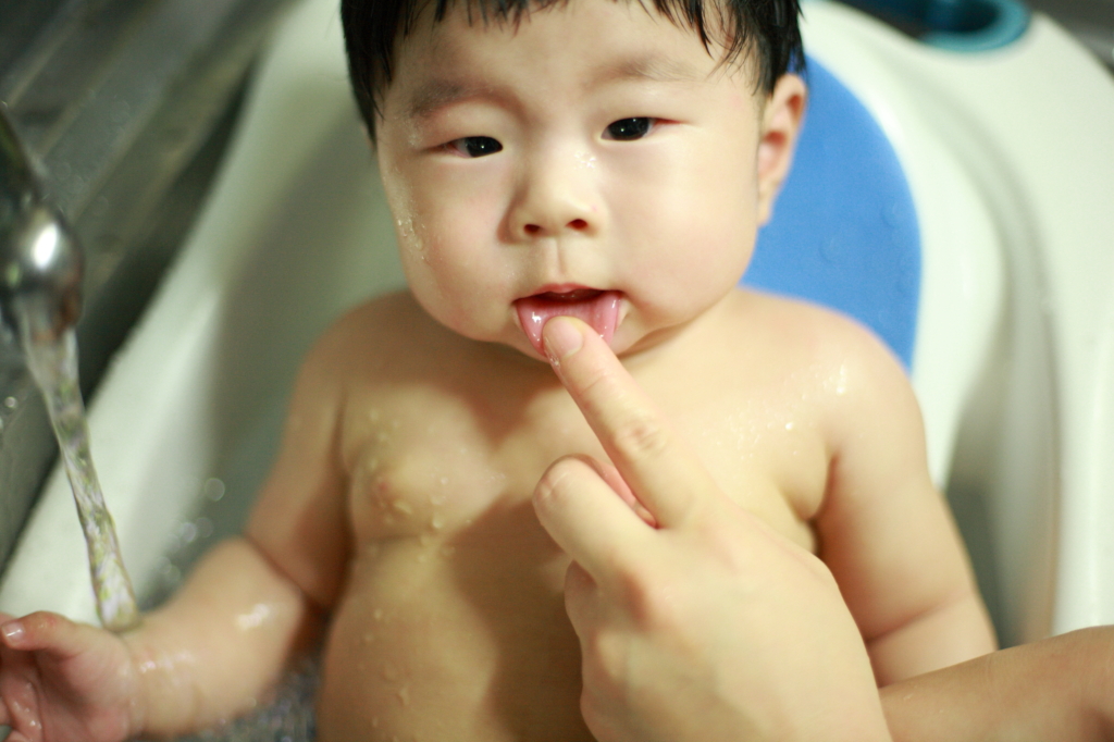 사용자 삽입 이미지