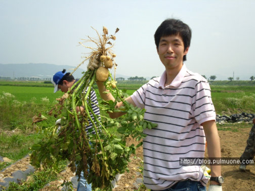 사용자 삽입 이미지