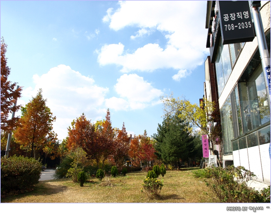 사용자 삽입 이미지