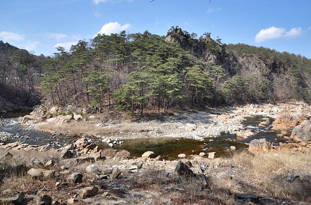 사용자 삽입 이미지