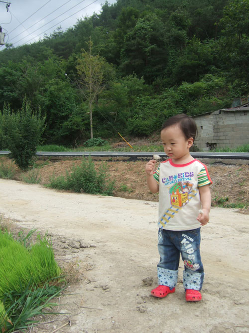 사용자 삽입 이미지