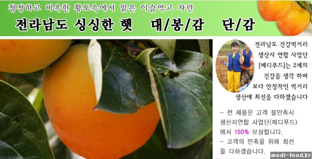 medi-food.kr