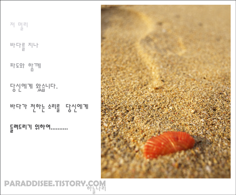 사용자 삽입 이미지