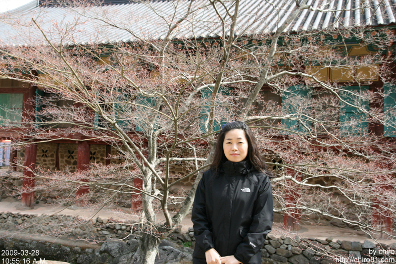 사용자 삽입 이미지