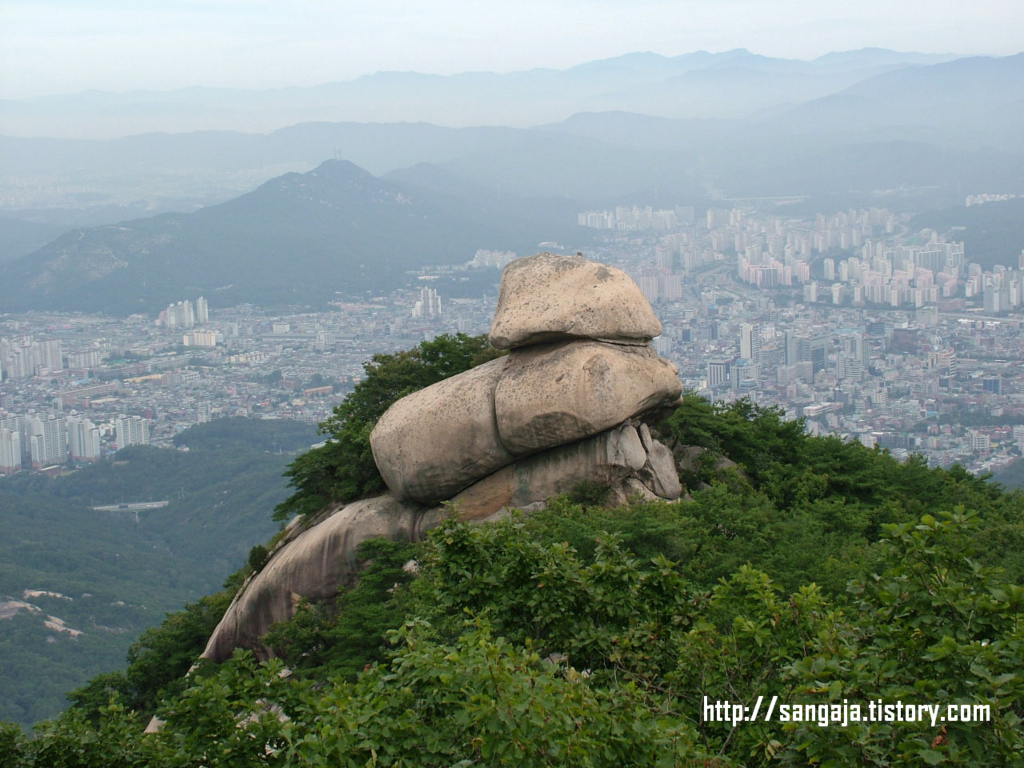 사용자 삽입 이미지