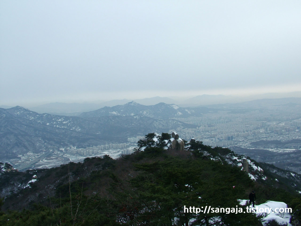 사용자 삽입 이미지