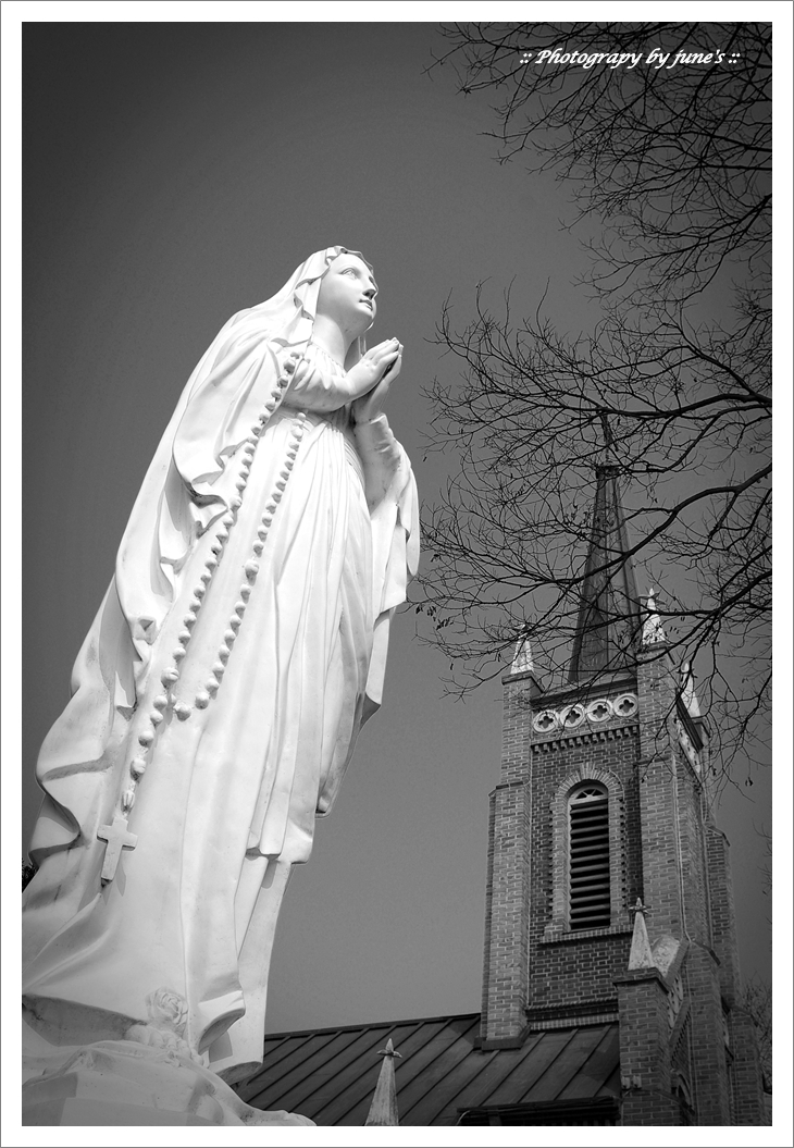 공세리성당,church,성당사진