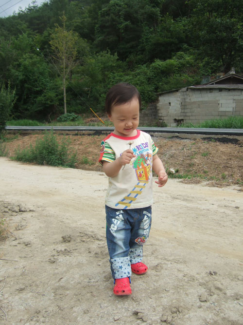 사용자 삽입 이미지