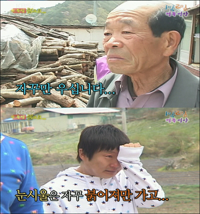 사용자 삽입 이미지