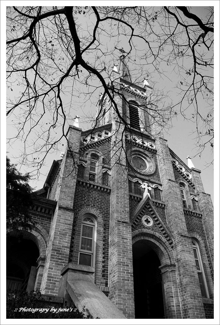 공세리성당,church,성당사진