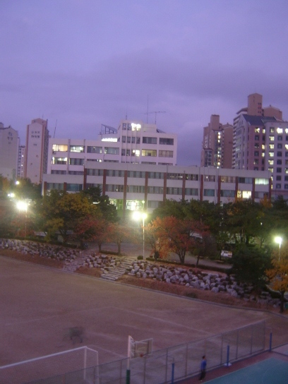 사용자 삽입 이미지