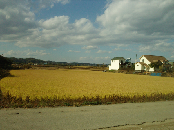 가을의 풍경