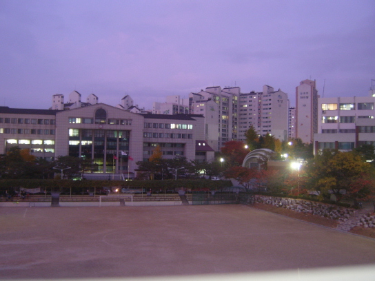 사용자 삽입 이미지