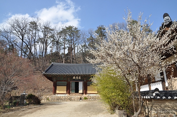 사용자 삽입 이미지
