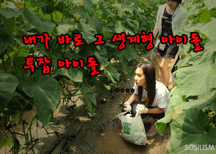 출처는 소시지 SOSILISM님