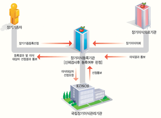 장기기증 흐름도