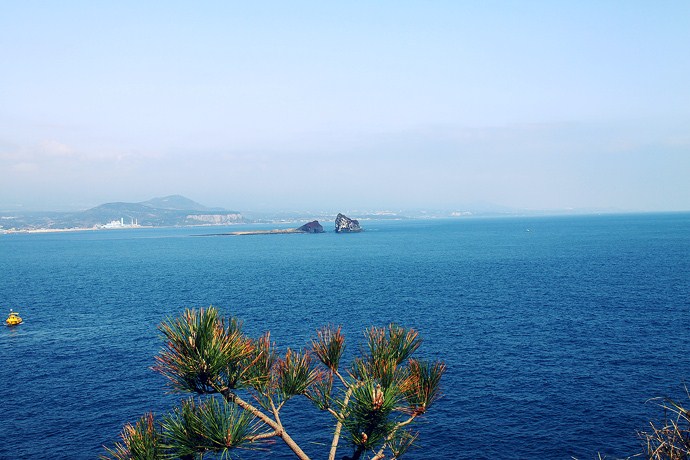사용자 삽입 이미지