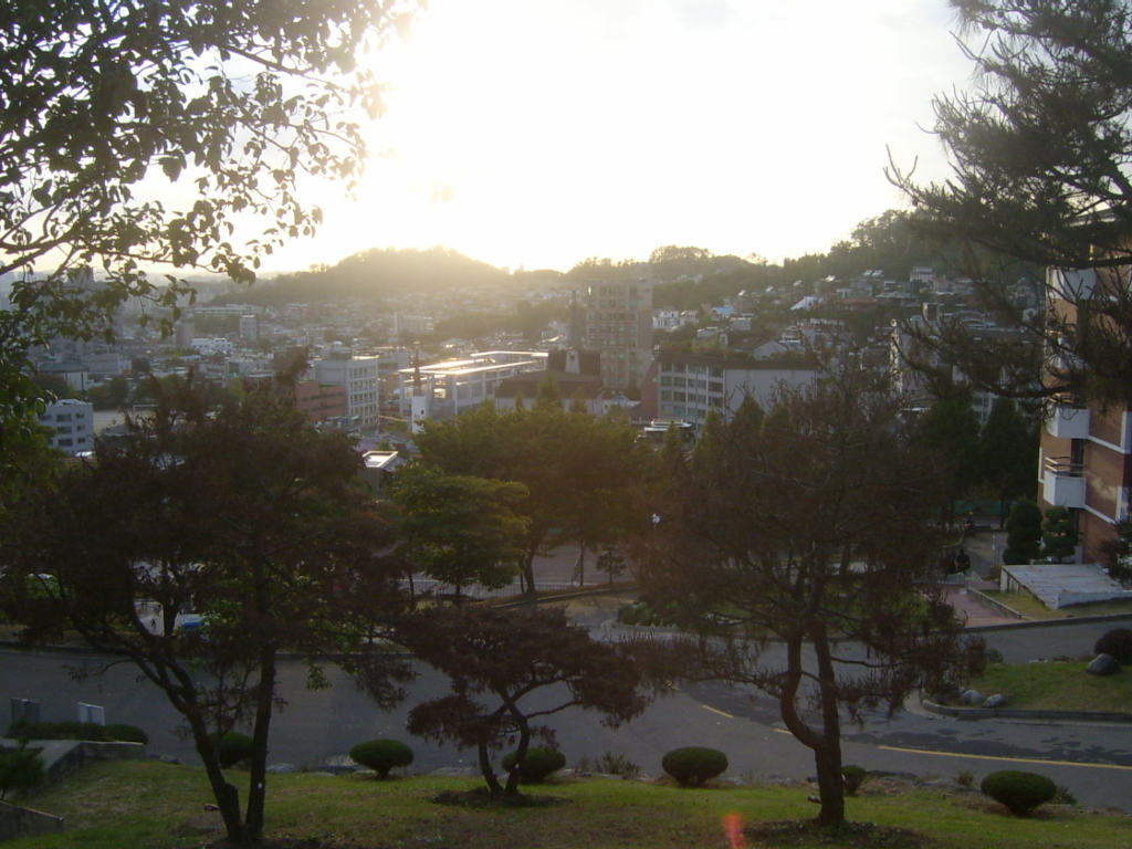 사용자 삽입 이미지