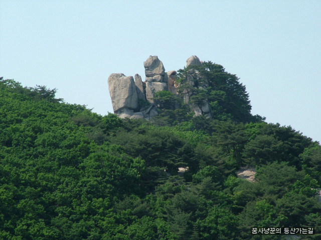 사용자 삽입 이미지