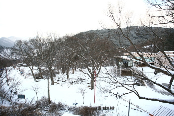 사용자 삽입 이미지