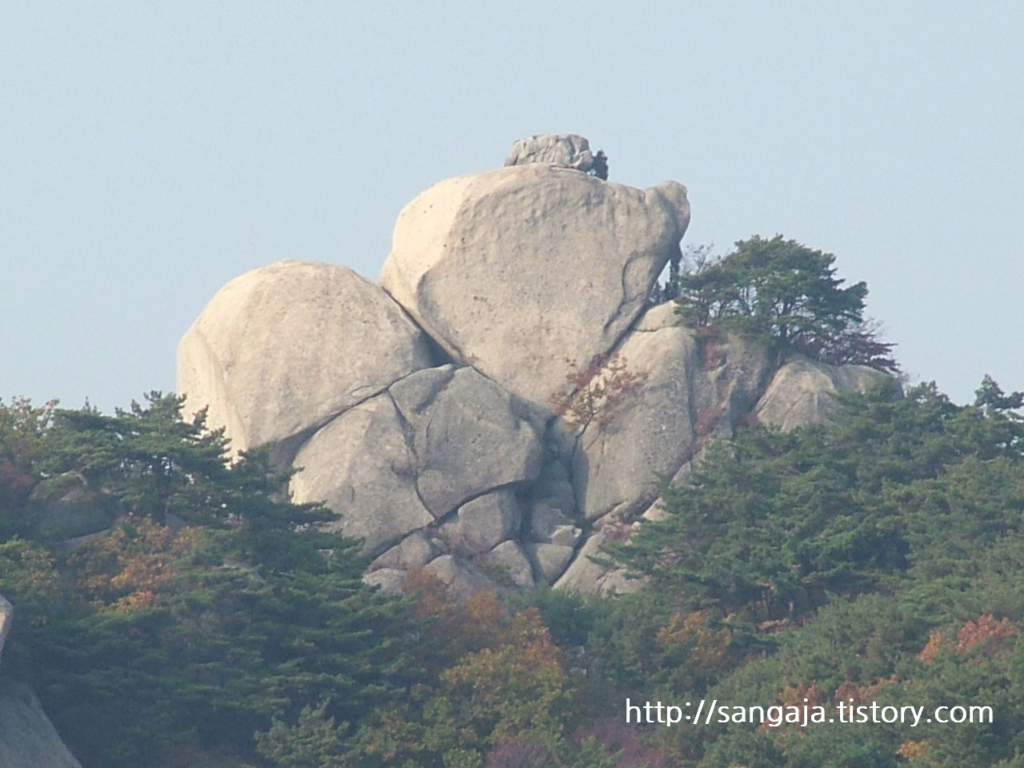 사용자 삽입 이미지